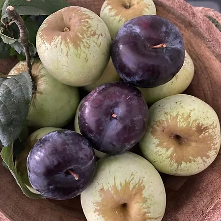 Casa De Santiago Villa Sao Tiago de Besteiros