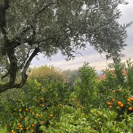 Casa De Santiago Sao Tiago de Besteiros