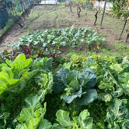 Casa De Santiago Sao Tiago de Besteiros