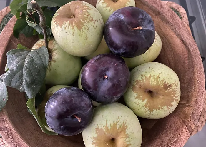 Casa De Santiago Villa Sao Tiago de Besteiros