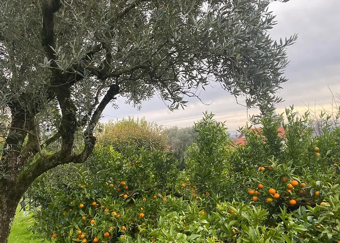 Casa De Santiago Sao Tiago de Besteiros