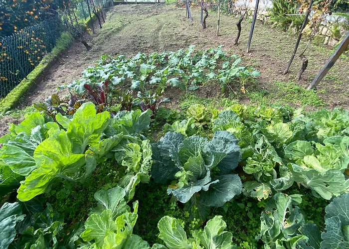 Casa De Santiago Sao Tiago de Besteiros